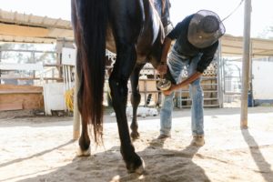 Texas Dude Ranches